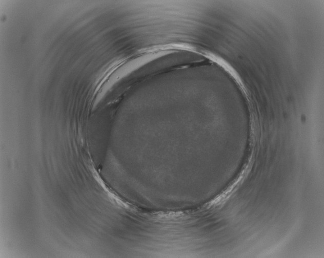 X0000067900809200605111915