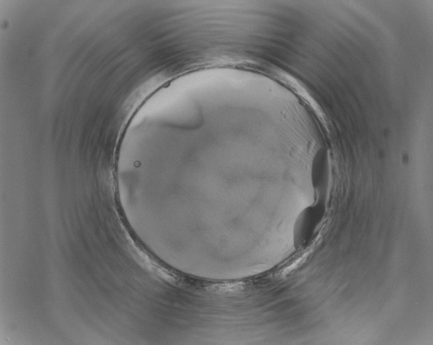 X0000067900810200605111915