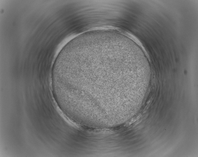 X0000067900811200605111915