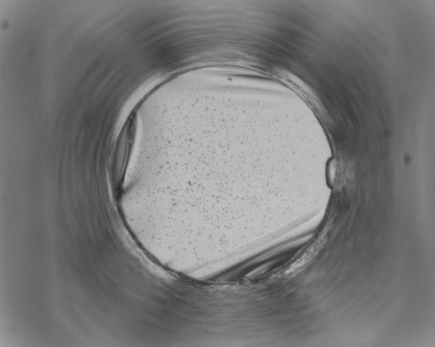 X0000067900812200605111915