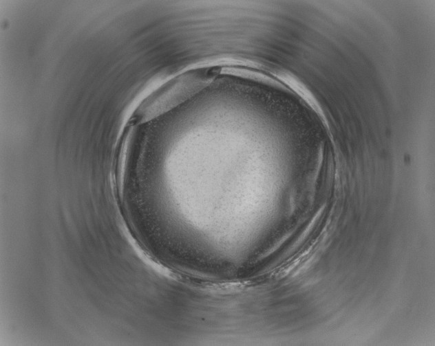 X0000067900813200605111915