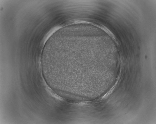 X0000067900814200605111915