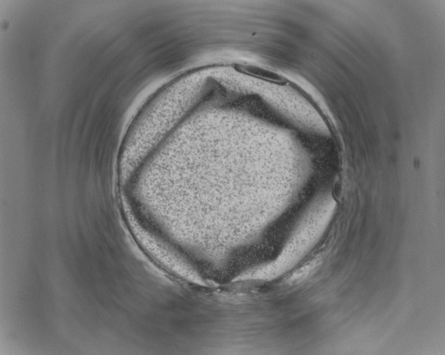 X0000067900815200605111915