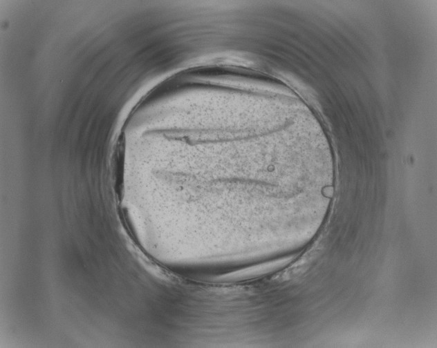 X0000067900816200605111915