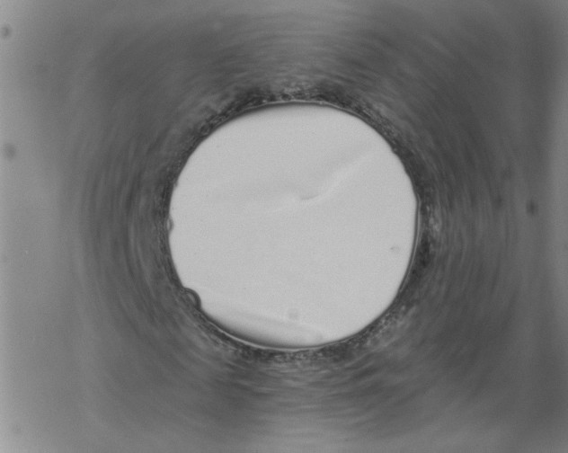 X0000067900817200605111915