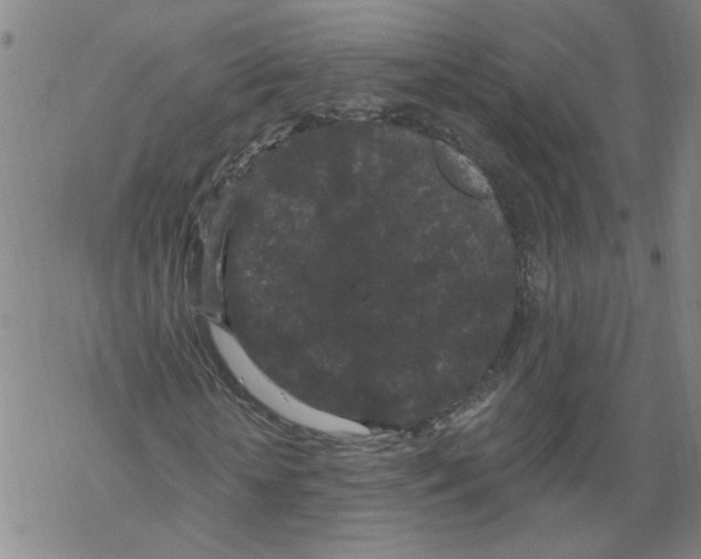 X0000067900818200605111915