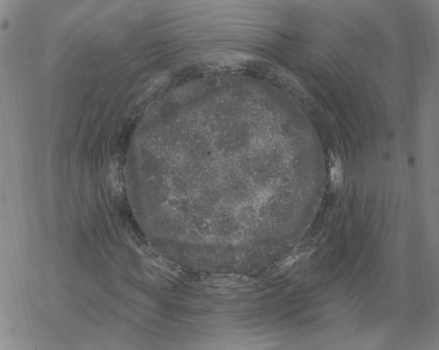 X0000067900819200605111915