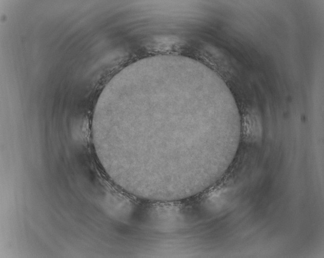 X0000067900820200605111915