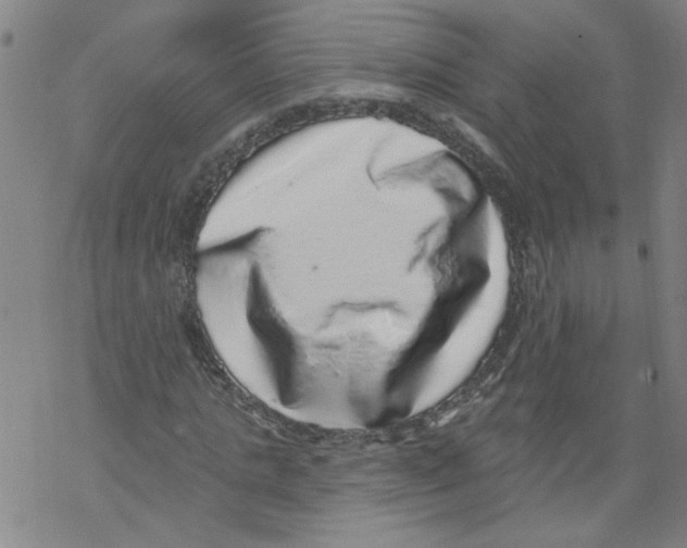 X0000067900821200605111915