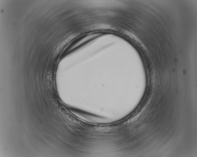 X0000067900825200605111915