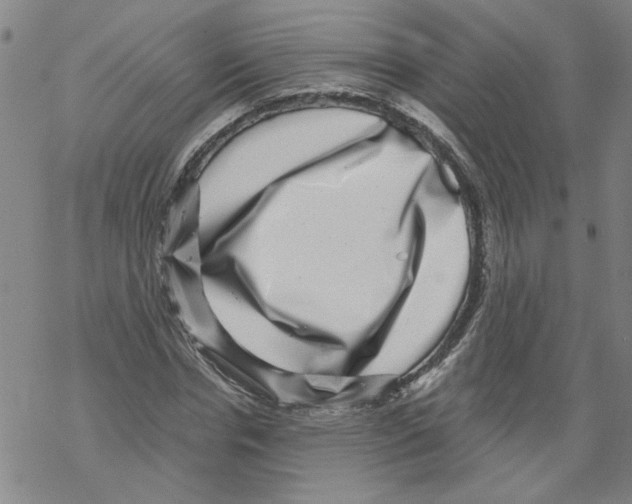 X0000067900826200605111915