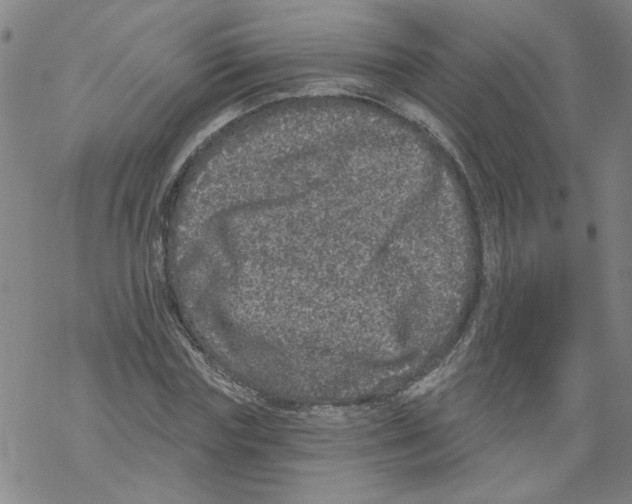 X0000067900827200605111915