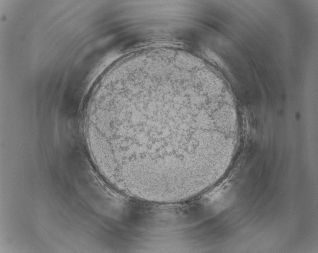 X0000067900828200605111915