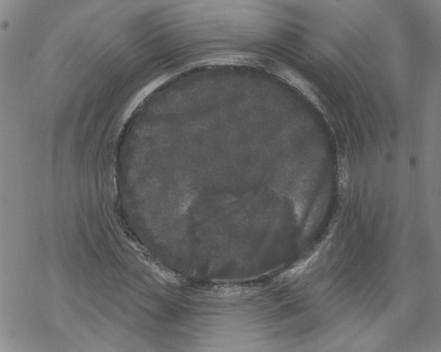 X0000067900829200605111915