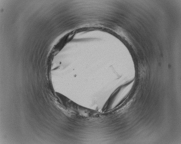 X0000067900830200605111915