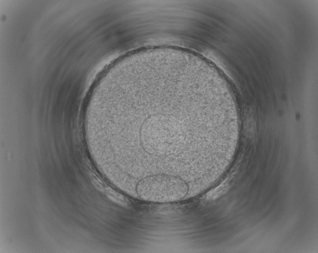 X0000067900832200605111915