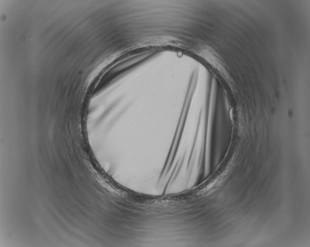 X0000067900834200605111915