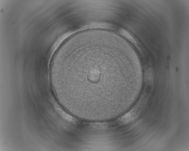 X0000067900836200605111915