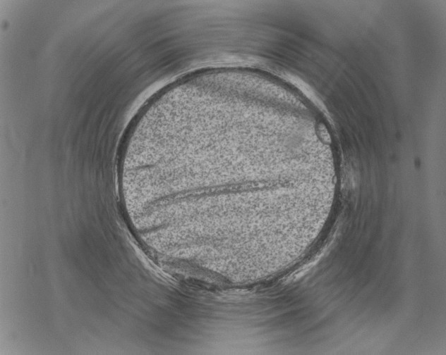 X0000067900837200605111915