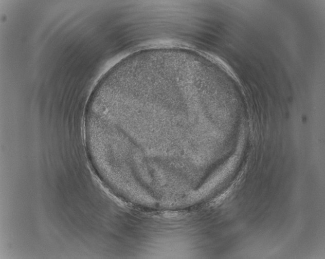 X0000067900839200605111915