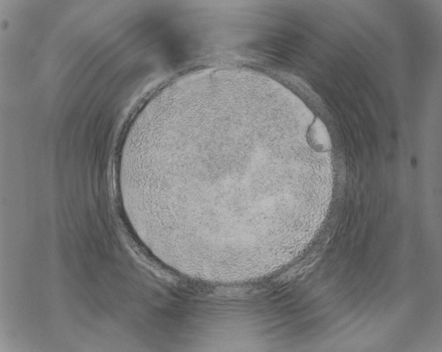 X0000067900840200605111915