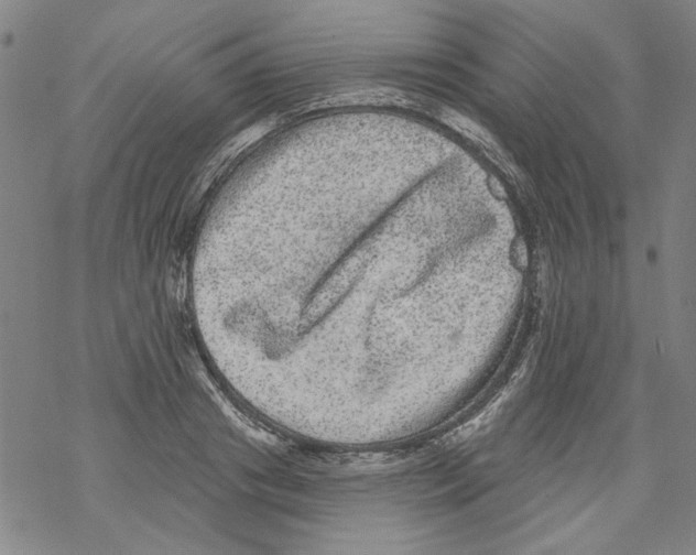 X0000067900841200605111915