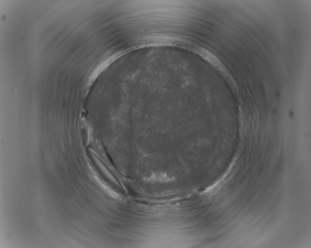 X0000067900842200605111915