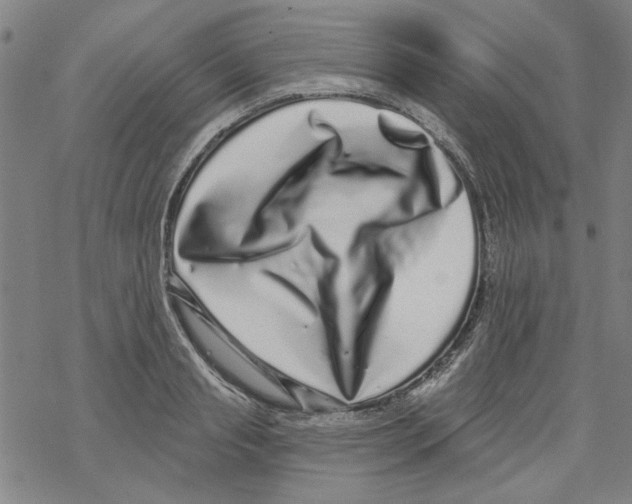 X0000067900845200605111915