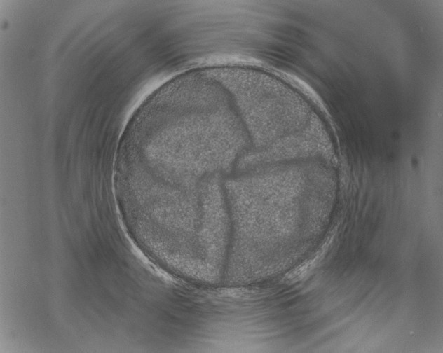 X0000067900847200605111915