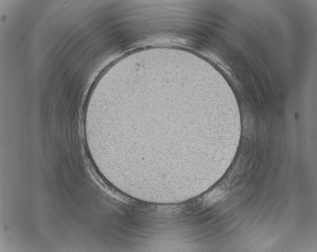 X0000067900848200605111915