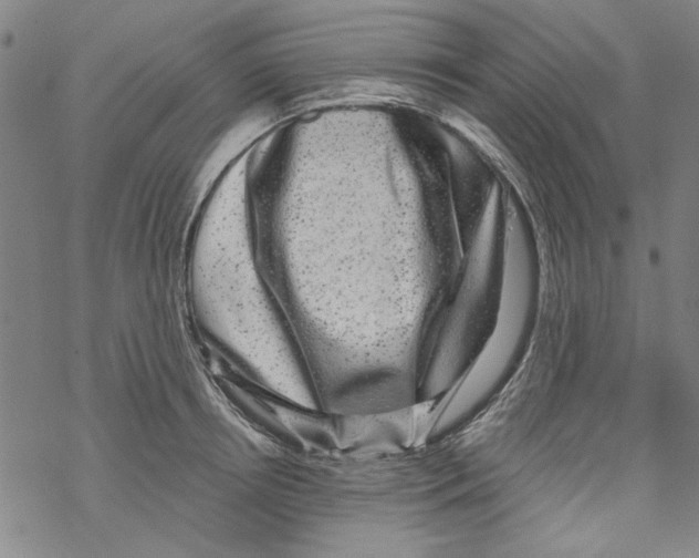 X0000067900850200605111915