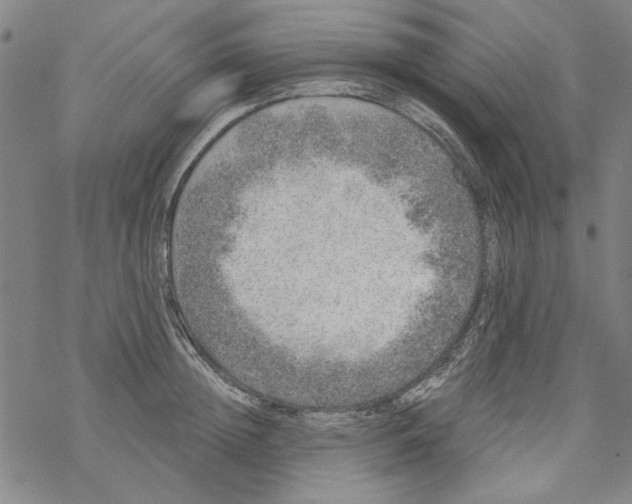 X0000067900852200605111915