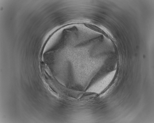 X0000067900854200605111915