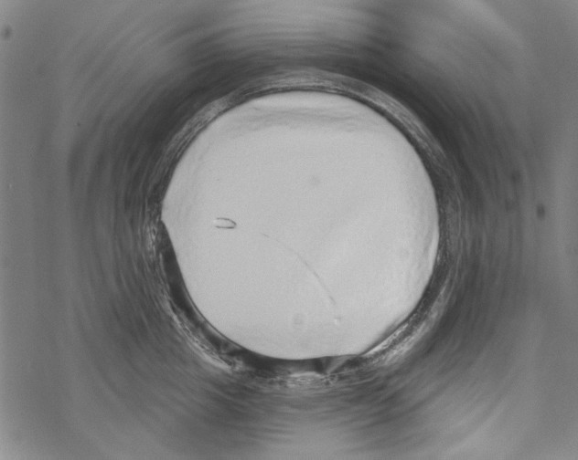 X0000067900857200605111915