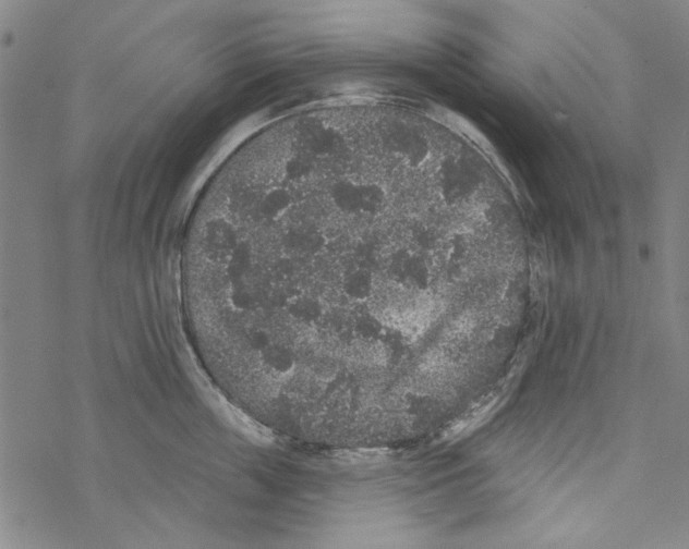 X0000067900859200605111915