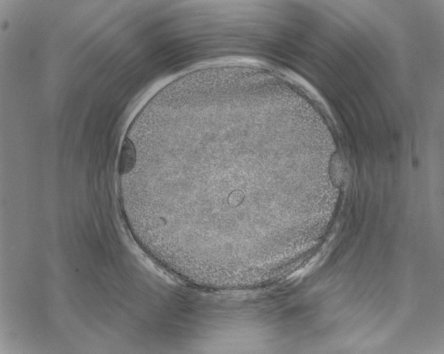 X0000067900860200605111915