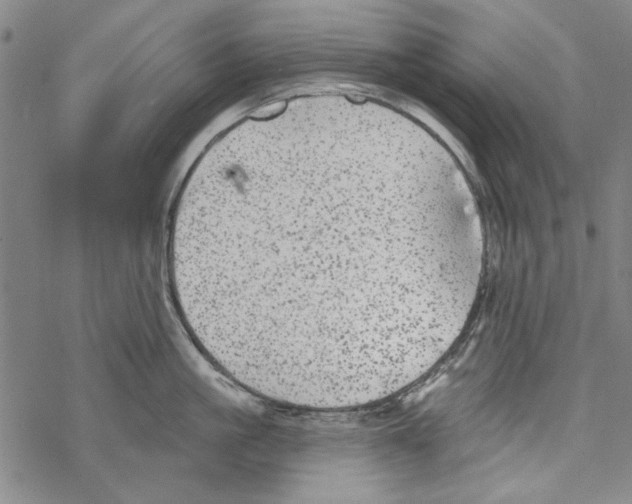 X0000067900861200605111915