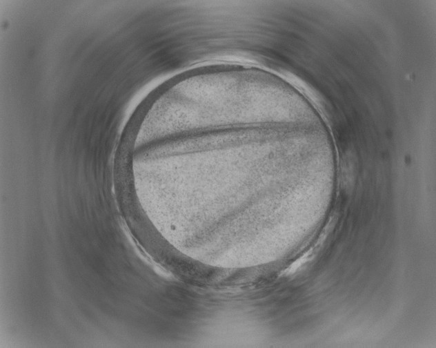 X0000067900862200605111915