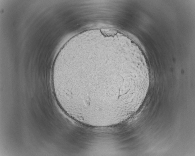 X0000067900863200605111915