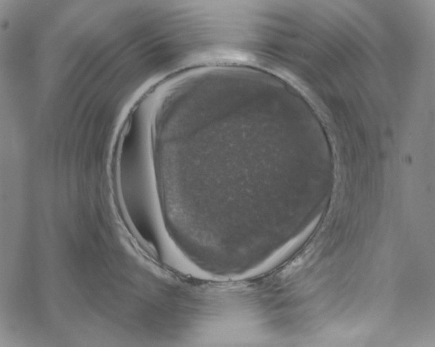 X0000067900864200605111915