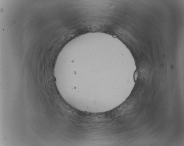 X0000067900865200605111915