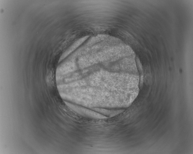 X0000067900866200605111915