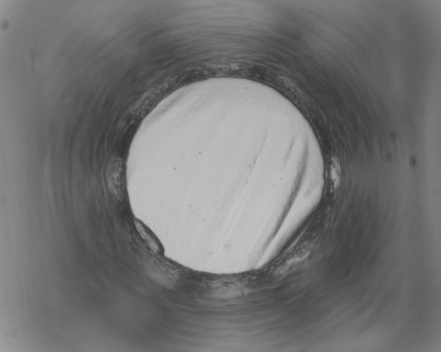 X0000067900867200605111915