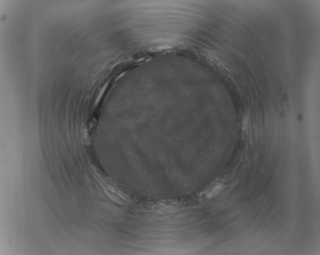 X0000067900868200605111914