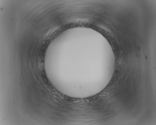 X0000067900869200605111914