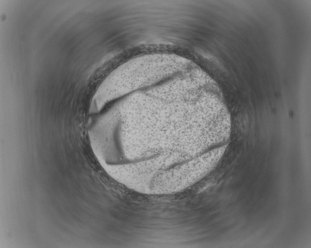 X0000067900870200605111914