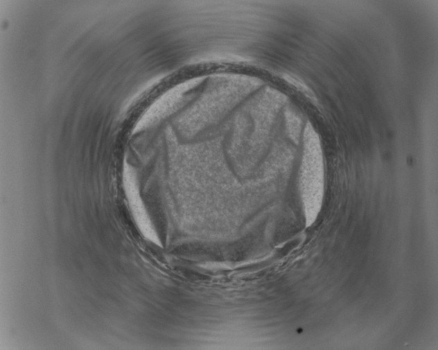 X0000067900872200605111914