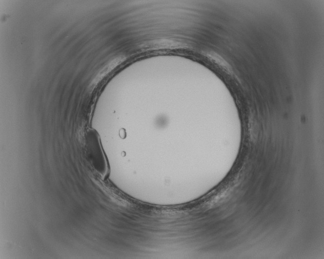 X0000067900873200605111914