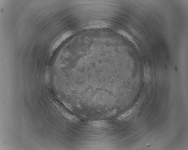 X0000067900874200605111914