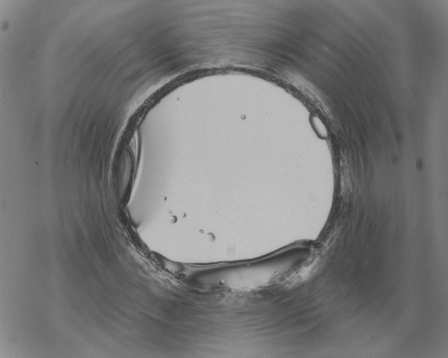 X0000067900876200605111914